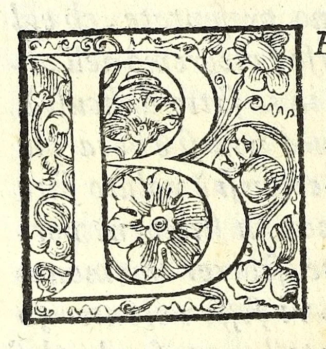 An illustration from I trattenimenti di Scipion Bargagli : dove da vaghe donne e da giouani huomini rappresentati sono honesti e diletteuoli givochi : narrate novelle : e cantate alcune amorose canzonette, 1587, leaf 74