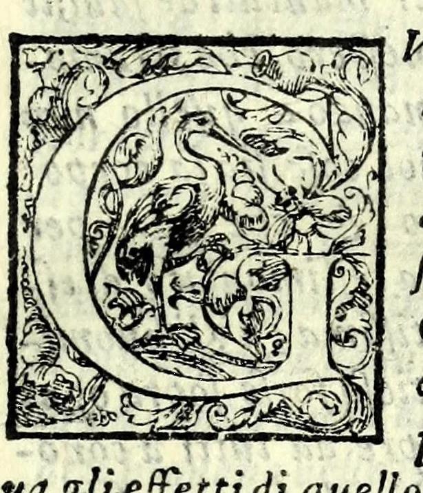 An illustration from I trattenimenti di Scipion Bargagli : dove da vaghe donne e da giouani huomini rappresentati sono honesti e diletteuoli givochi : narrate novelle : e cantate alcune amorose canzonette, 1587, leaf 83