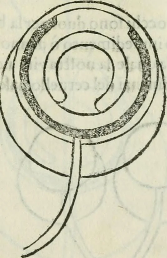 An illustration from I tre libri della perspettiva commvne, 1593, leaf 42