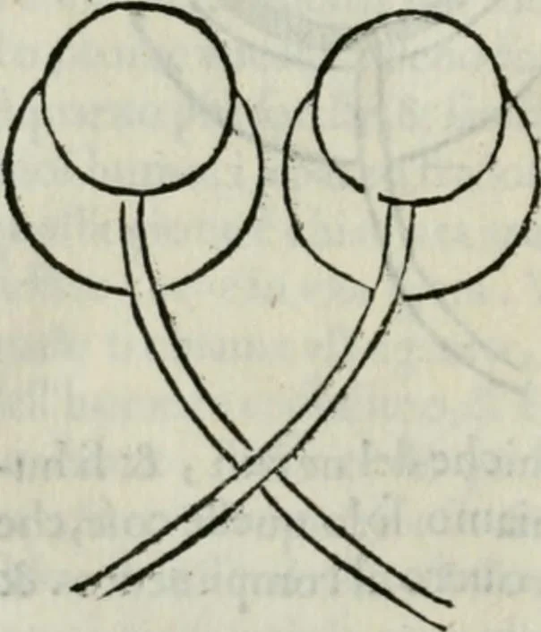 An illustration from I tre libri della perspettiva commvne, 1593, leaf 43