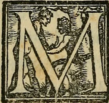 An illustration from I tre libri di Messer Giovan Battista Svsio della ingivstitia del dvello : et di coloro, che lo permettono : all'invittiss et Christianissimo Henrico Secondo Re di Francia, 1558, leaf 15