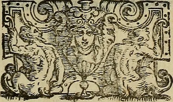 An illustration from I tre libri di Messer Giovan Battista Svsio della ingivstitia del dvello : et di coloro, che lo permettono : all'invittiss et Christianissimo Henrico Secondo Re di Francia, 1558, leaf 200
