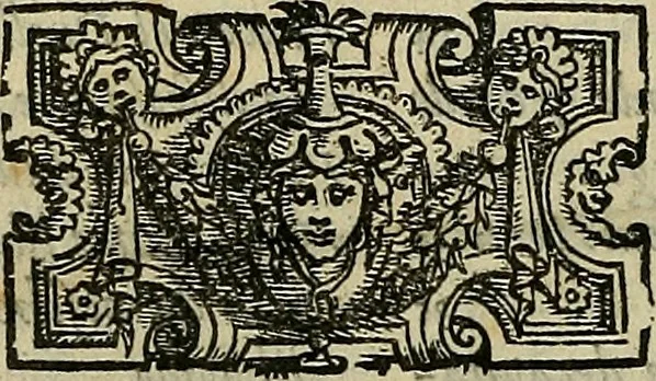 An illustration from I tre libri di Messer Giovan Battista Svsio della ingivstitia del dvello : et di coloro, che lo permettono : all'invittiss et Christianissimo Henrico Secondo Re di Francia, 1558, leaf 201