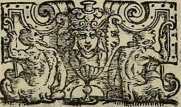 An illustration from I tre libri di Messer Giovan Battista Svsio della ingivstitia del dvello : et di coloro, che lo permettono : all'invittiss et Christianissimo Henrico Secondo Re di Francia, 1558, leaf 201