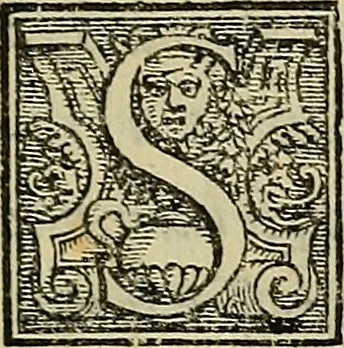 An illustration from I tre libri di Messer Giovan Battista Svsio della ingivstitia del dvello : et di coloro, che lo permettono : all'invittiss et Christianissimo Henrico Secondo Re di Francia, 1558, leaf 24