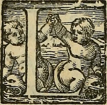 An illustration from I tre libri di Messer Giovan Battista Svsio della ingivstitia del dvello : et di coloro, che lo permettono : all'invittiss et Christianissimo Henrico Secondo Re di Francia, 1558, leaf 31