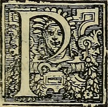 An illustration from I tre libri di Messer Giovan Battista Svsio della ingivstitia del dvello : et di coloro, che lo permettono : all'invittiss et Christianissimo Henrico Secondo Re di Francia, 1558, leaf 34