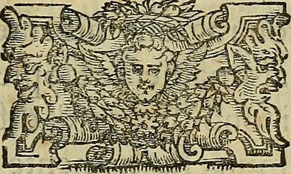 An illustration from I tre libri di Messer Giovan Battista Svsio della ingivstitia del dvello : et di coloro, che lo permettono : all'invittiss et Christianissimo Henrico Secondo Re di Francia, 1558, leaf 6