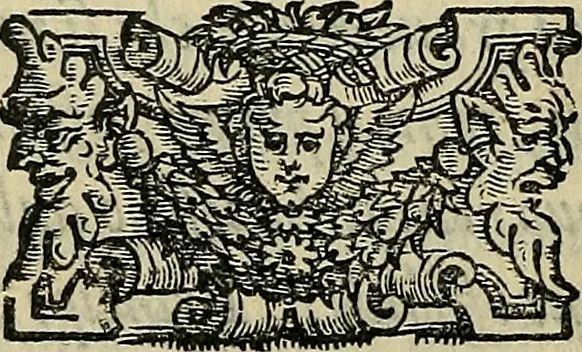 An illustration from I tre libri di Messer Giovan Battista Svsio della ingivstitia del dvello : et di coloro, che lo permettono : all'invittiss et Christianissimo Henrico Secondo Re di Francia, 1558, leaf 75
