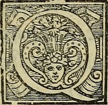 An illustration from I tre libri di Messer Giovan Battista Svsio della ingivstitia del dvello : et di coloro, che lo permettono : all'invittiss et Christianissimo Henrico Secondo Re di Francia, 1558, leaf 80