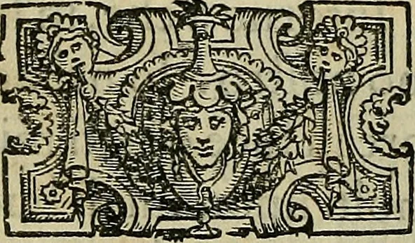 An illustration from I tre libri di Messer Giovan Battista Svsio della ingivstitia del dvello : et di coloro, che lo permettono : all'invittiss et Christianissimo Henrico Secondo Re di Francia, 1558, leaf 9