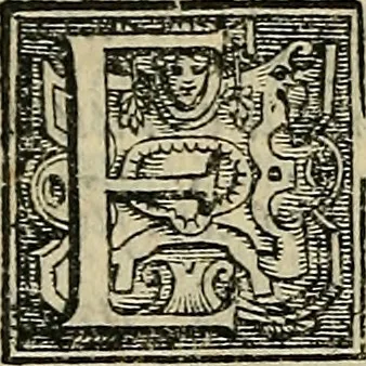 An illustration from I tre libri di Messer Giovan Battista Svsio della ingivstitia del dvello : et di coloro, che lo permettono : all'invittiss et Christianissimo Henrico Secondo Re di Francia, 1558, leaf 91
