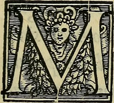 An illustration from I tre libri di Messer Giovan Battista Svsio della ingivstitia del dvello : et di coloro, che lo permettono : all'invittiss et Christianissimo Henrico Secondo Re di Francia, 1558, leaf 98