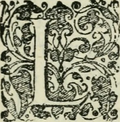 An illustration from I trionfi dell'architettvra nella sontuosa residenza di Monaco ..., 1680, leaf 10