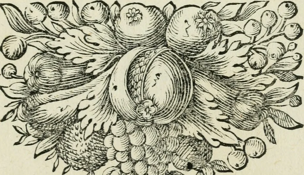 An illustration from I trionfi dell'architettvra nella sontuosa residenza di Monaco ..., 1680, leaf 160