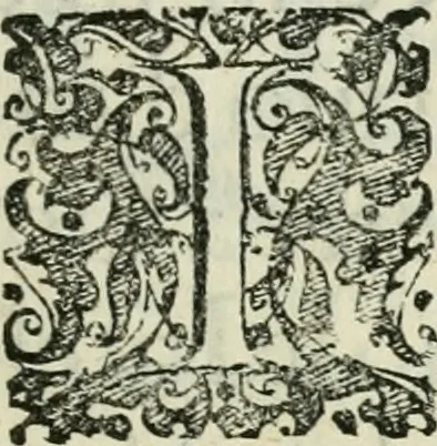 An illustration from I trionfi dell'architettvra nella sontuosa residenza di Monaco ..., 1680, leaf 6