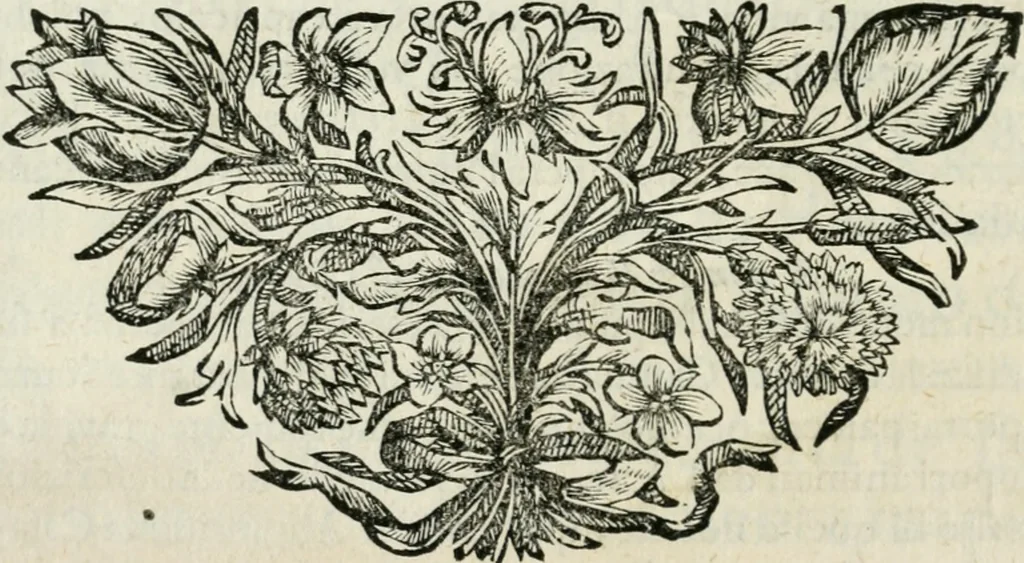 An illustration from I trionfi dell'architettvra nella sontuosa residenza di Monaco ..., 1680, leaf 9