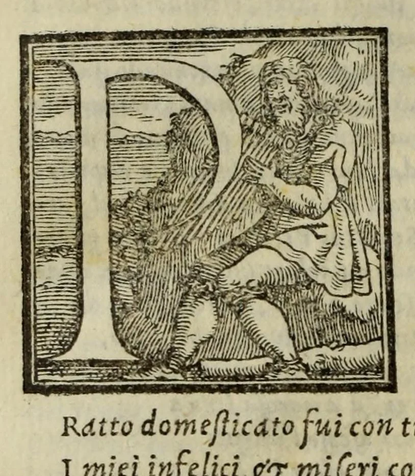 An illustration from I Trionfi del Petrarcha : con la spositione di M. Giovanni Andrea Gesualdo da Traetto, 1553, leaf 48