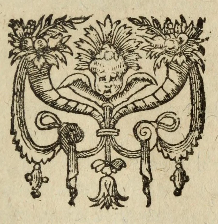 An illustration from Iulii Caesaris Scaligeri viri clarissimi Poemata omnia in duas partes devisa : pleraque omnia in publicum iam primum prodeunt: reliqua vero quam ante emendatius edita sunt : Sopohoclis Aiax Lorarius stylo tragico, 1600, leaf 701