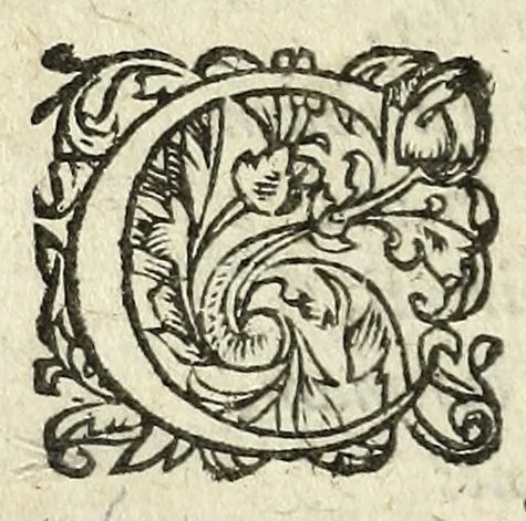 An illustration from Iulij Caesaris Bulengeri Iuliodunensis Liber de spolijs bellicis, trophaeis, arcubus triumphalibus, & pompa triumphi : cui accessit liber Onuphrij Panuini Veronensis De triumpho & De ludis circensibus, 1601, leaf 20