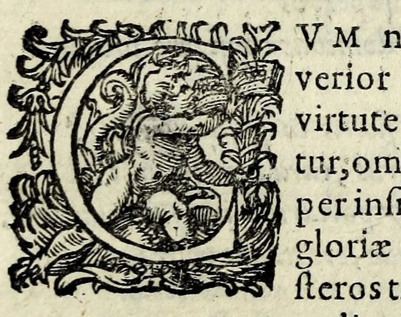 An illustration from Iulij Caesaris Bulengeri Iuliodunensis Liber de spolijs bellicis, trophaeis, arcubus triumphalibus, & pompa triumphi : cui accessit liber Onuphrij Panuini Veronensis De triumpho & De ludis circensibus, 1601, leaf 25