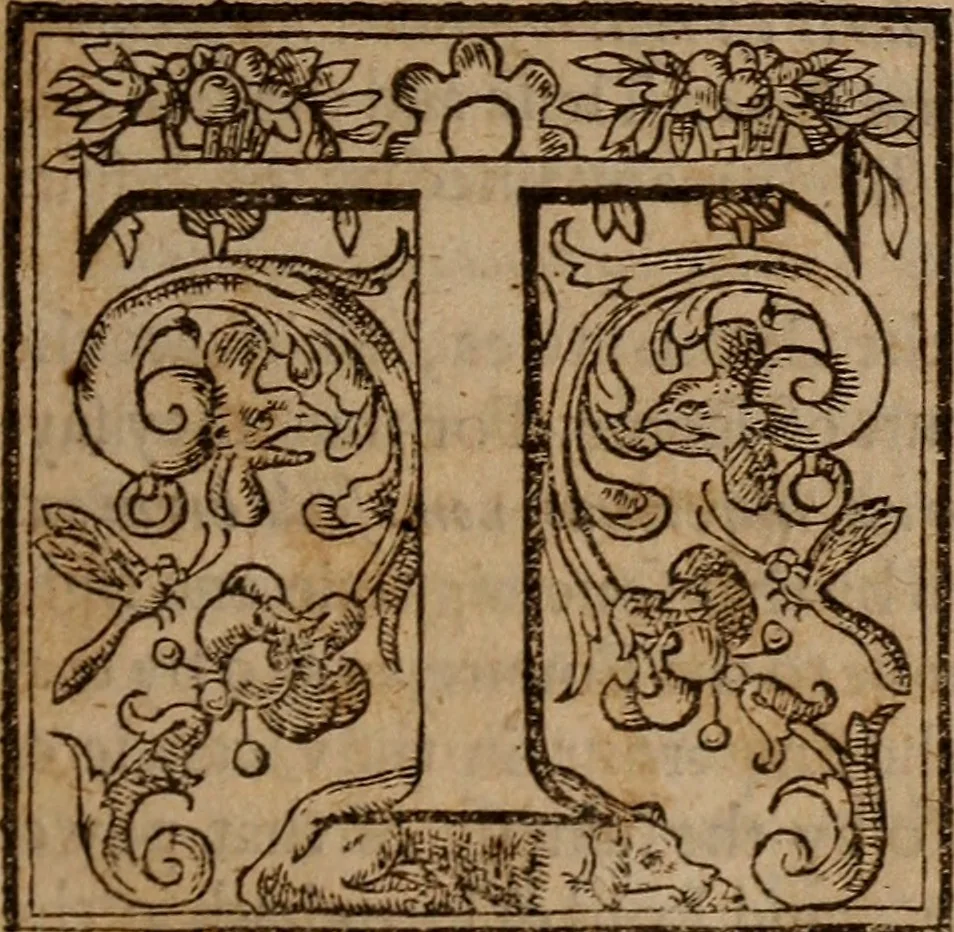 An illustration from Iurisdiction, regall, episcopall, papall : wherein is declared how the pope hath intruded upon the iurisdiction of temporall princes, and of the church ..., 1610, leaf 26