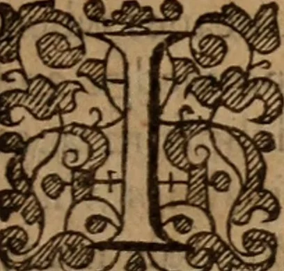 An illustration from Iurisdiction, regall, episcopall, papall : wherein is declared how the pope hath intruded upon the iurisdiction of temporall princes, and of the church ..., 1610, leaf 36