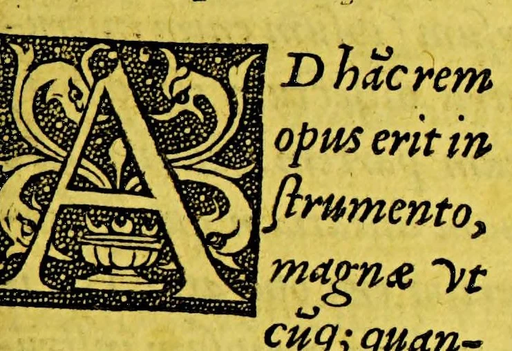 An illustration from Iusti Lipsi de amphitheatro liber. : In quo forma ipsa loci expressa, & ratio spectandi. : Cum æneis figuris, 1589, leaf 175