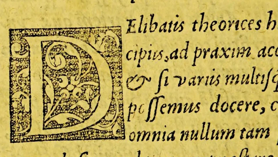 An illustration from Iusti Lipsi de amphitheatro liber. : In quo forma ipsa loci expressa, & ratio spectandi. : Cum æneis figuris, 1589, leaf 30
