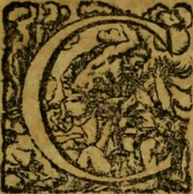 An illustration from Iusti LipsI De militia romana libri quinque : commentarius ad Polybium, 1602, leaf 12