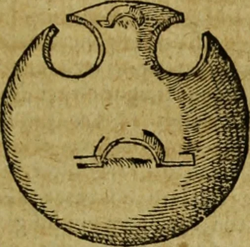 An illustration from Iusti LipsI De militia romana libri quinque : commentarius ad Polybium, 1602, leaf 388