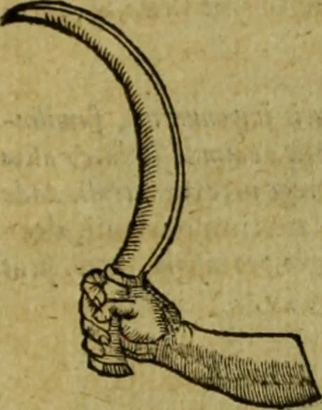 An illustration from Iusti LipsI De militia romana libri quinque : commentarius ad Polybium, 1602, leaf 394