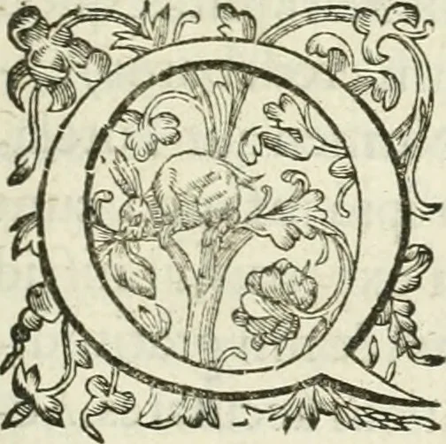 An illustration from Iusti RycquI De Capitolio Romano commentarius. In quo, illustria eius olim aedificia, sacra & profana: deorum dearumq[ue] nomina: arcus item triumphales, columnae, statuae, tropaea, colossi, caeteraque ornamenta adcuratè describuntur: & plura alia antiquitatis monimenta proferuntur, emendantur, explicantur, 1617, leaf 10