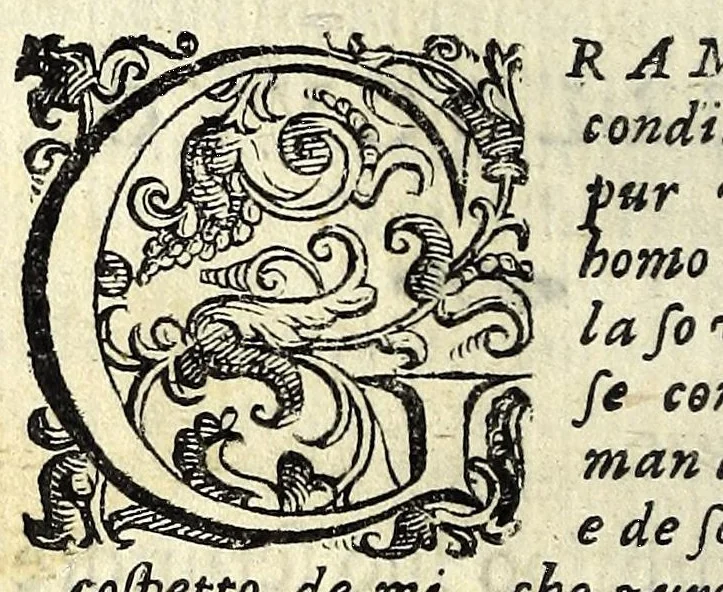 An illustration from I veri amanti : comedia, 1612, leaf 12