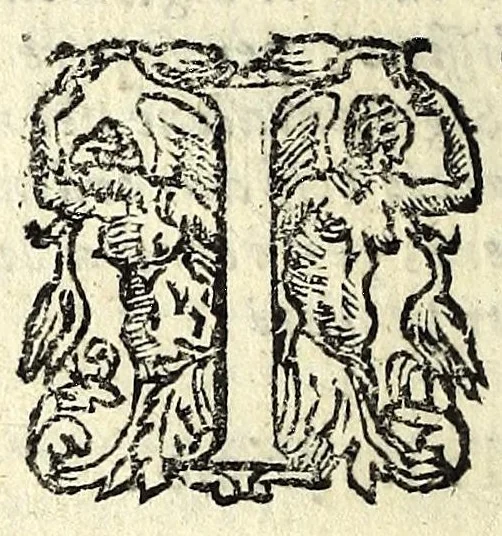 An illustration from I veri amanti : comedia, 1612, leaf 22