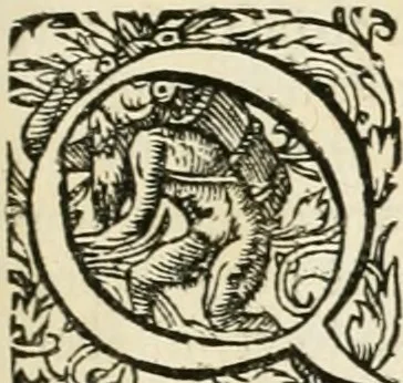 An illustration from I.[-VI.] pars Romanae vrbis topographiae & antiquitatum, quâ succinctê & breviter describuntur omnia quae tam publicê quam privatim videntur anim-adversione digna:, 1597, leaf 196