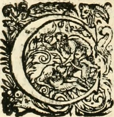 An illustration from I.[-VI.] pars Romanae vrbis topographiae & antiquitatum, quâ succinctê & breviter describuntur omnia quae tam publicê quam privatim videntur anim-adversione digna:, 1597, leaf 203