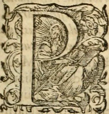 An illustration from I.[-VI.] pars Romanae vrbis topographiae & antiquitatum, quâ succinctê & breviter describuntur omnia quae tam publicê quam privatim videntur anim-adversione digna:, 1597, leaf 206
