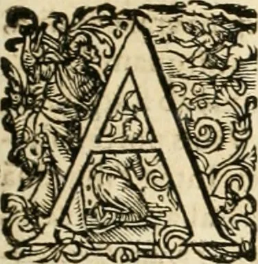 An illustration from I.[-VI.] pars Romanae vrbis topographiae & antiquitatum, quâ succinctê & breviter describuntur omnia quae tam publicê quam privatim videntur anim-adversione digna:, 1597, leaf 208