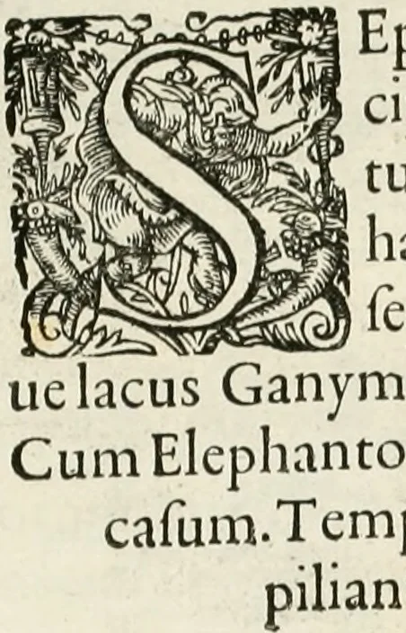 An illustration from I.[-VI.] pars Romanae vrbis topographiae & antiquitatum, quâ succinctê & breviter describuntur omnia quae tam publicê quam privatim videntur anim-adversione digna:, 1597, leaf 232