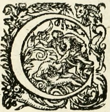An illustration from I.[-VI.] pars Romanae vrbis topographiae & antiquitatum, quâ succinctê & breviter describuntur omnia quae tam publicê quam privatim videntur anim-adversione digna:, 1597, leaf 251