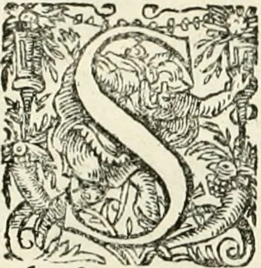 An illustration from I.[-VI.] pars Romanae vrbis topographiae & antiquitatum, quâ succinctê & breviter describuntur omnia quae tam publicê quam privatim videntur anim-adversione digna:, 1597, leaf 253