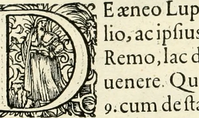 An illustration from I.[-VI.] pars Romanae vrbis topographiae & antiquitatum, quâ succinctê & breviter describuntur omnia quae tam publicê quam privatim videntur anim-adversione digna:, 1597, leaf 255