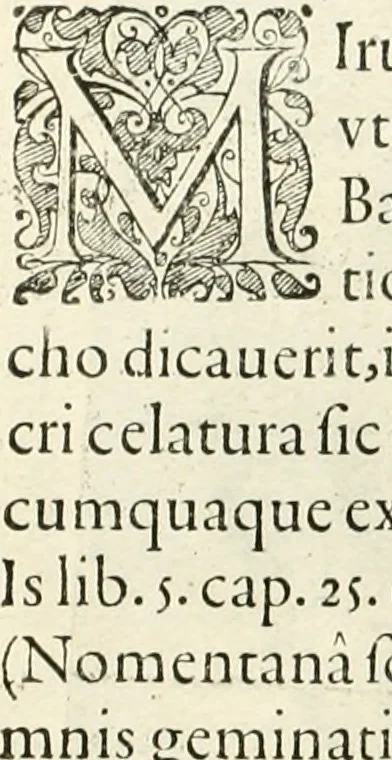 An illustration from I.[-VI.] pars Romanae vrbis topographiae & antiquitatum, quâ succinctê & breviter describuntur omnia quae tam publicê quam privatim videntur anim-adversione digna:, 1597, leaf 257