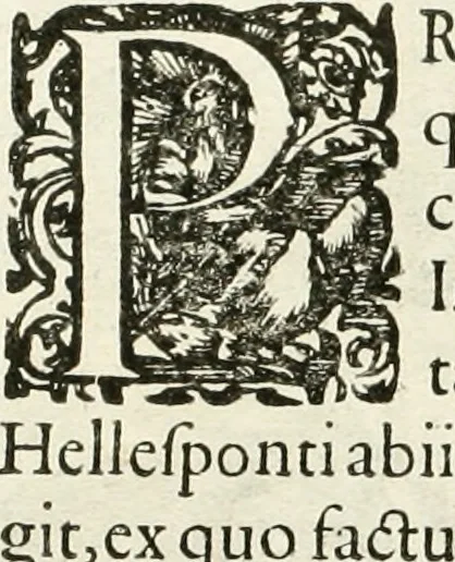 An illustration from I.[-VI.] pars Romanae vrbis topographiae & antiquitatum, quâ succinctê & breviter describuntur omnia quae tam publicê quam privatim videntur anim-adversione digna:, 1597, leaf 259
