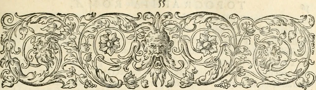 An illustration from I.[-VI.] pars Romanae vrbis topographiae & antiquitatum, quâ succinctê & breviter describuntur omnia quae tam publicê quam privatim videntur anim-adversione digna:, 1597, leaf 292