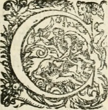 An illustration from I.[-VI.] pars Romanae vrbis topographiae & antiquitatum, quâ succinctê & breviter describuntur omnia quae tam publicê quam privatim videntur anim-adversione digna:, 1597, leaf 292