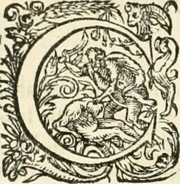 An illustration from I.[-VI.] pars Romanae vrbis topographiae & antiquitatum, quâ succinctê & breviter describuntur omnia quae tam publicê quam privatim videntur anim-adversione digna:, 1597, leaf 299