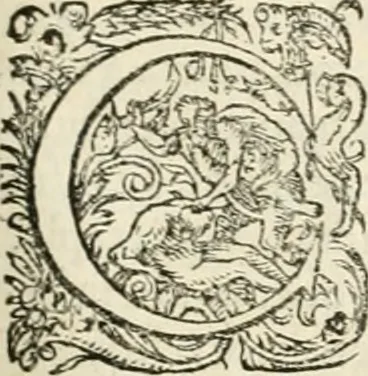 An illustration from I.[-VI.] pars Romanae vrbis topographiae & antiquitatum, quâ succinctê & breviter describuntur omnia quae tam publicê quam privatim videntur anim-adversione digna:, 1597, leaf 302
