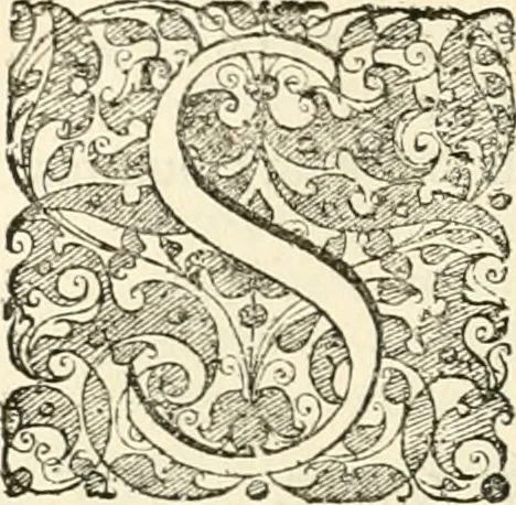 An illustration from I.[-VI.] pars Romanae vrbis topographiae & antiquitatum, quâ succinctê & breviter describuntur omnia quae tam publicê quam privatim videntur anim-adversione digna:, 1597, leaf 303